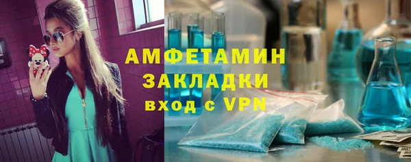 индика Богородицк