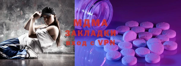 индика Богородицк