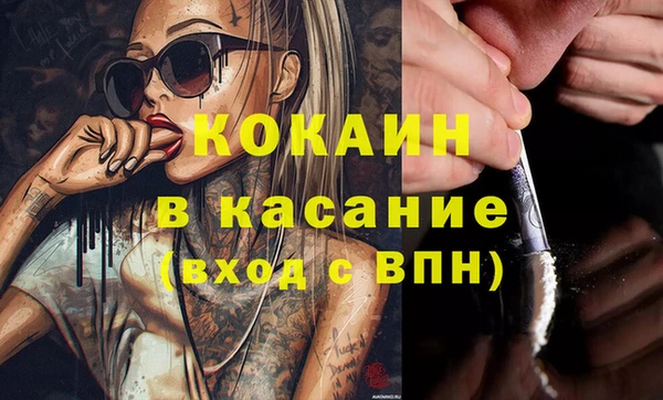 сатива Богданович