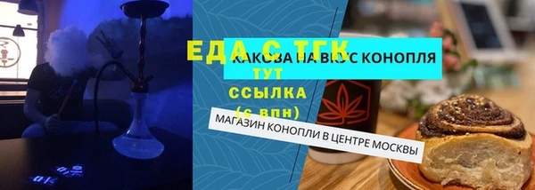 индика Богородицк