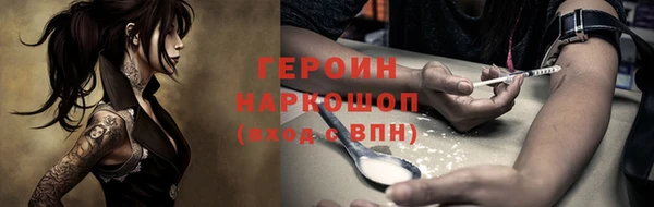 индика Богородицк