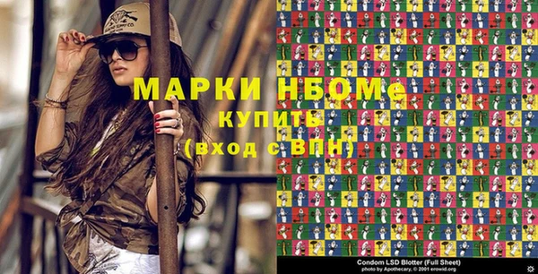 индика Богородицк