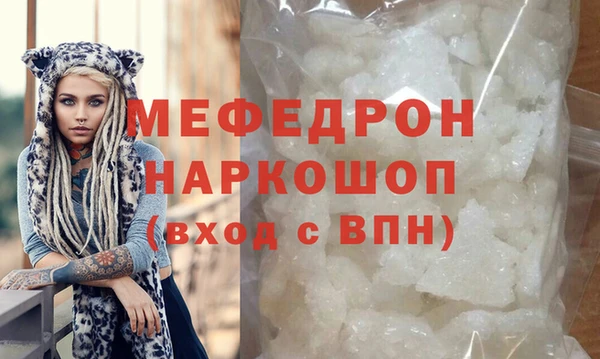 индика Богородицк