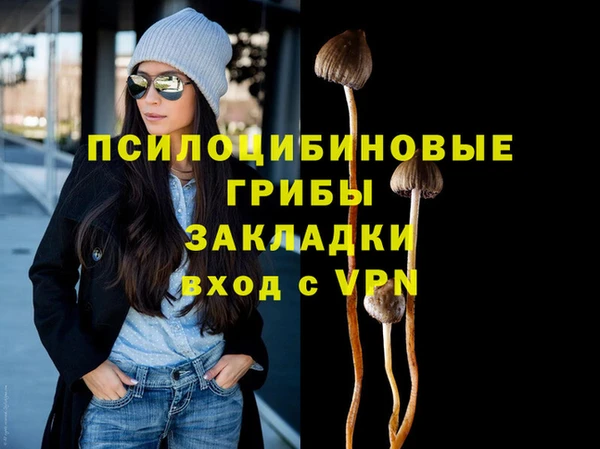 apvp Богородск