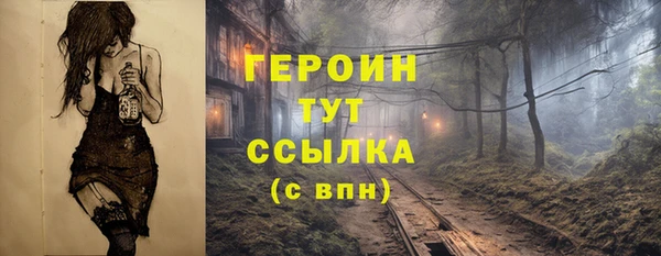 индика Богородицк