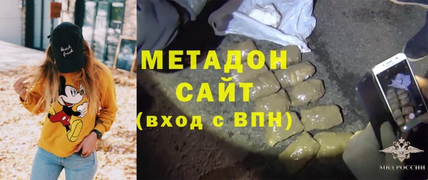 индика Богородицк