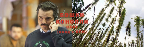 индика Богородицк
