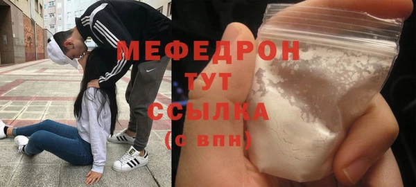 индика Богородицк