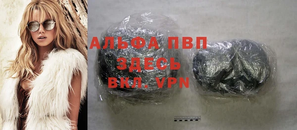 сатива Богданович