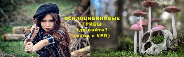 apvp Богородск