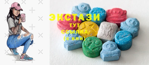 индика Богородицк
