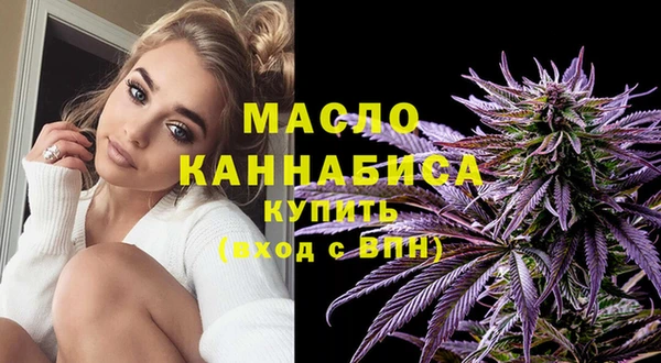 индика Богородицк