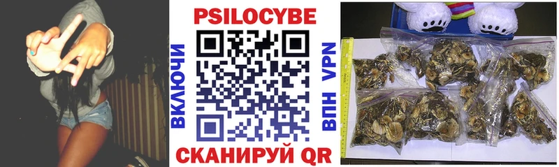 Галлюциногенные грибы Cubensis  Пионерский 
